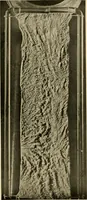 Picture 145 of 203 from Pediatrics : the hygienic and medical treatment of children / by Thomas Morgan Rotch. (1898), leaf 967
