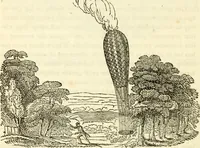 Picture 10 of 106 from The astrologer of the nineteenth century / By the members of the Mercurii: Raphael ... and other sideral [sic] artists. (1825), leaf 176