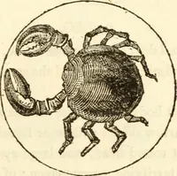 Picture 35 of 106 from The astrologer of the nineteenth century / By the members of the Mercurii: Raphael ... and other sideral [sic] artists. (1825), leaf 323