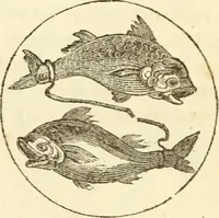Picture 43 of 106 from The astrologer of the nineteenth century / By the members of the Mercurii: Raphael ... and other sideral [sic] artists. (1825), leaf 328