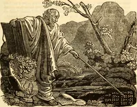 Picture 89 of 106 from The astrologer of the nineteenth century / By the members of the Mercurii: Raphael ... and other sideral [sic] artists. (1825), leaf 509