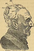 An illustration from Questioni filosofiche, sociali, mediche e medico-forensi : trattate coi principii della fisiologia del cervello / pel Dottore Biagio G. Miraglia. (1883)