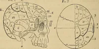 An illustration from Questioni filosofiche, sociali, mediche e medico-forensi : trattate coi principii della fisiologia del cervello / pel Dottore Biagio G. Miraglia. (1883)