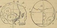 An illustration from Questioni filosofiche, sociali, mediche e medico-forensi : trattate coi principii della fisiologia del cervello / pel Dottore Biagio G. Miraglia. (1883)