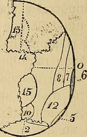 An illustration from Questioni filosofiche, sociali, mediche e medico-forensi : trattate coi principii della fisiologia del cervello / pel Dottore Biagio G. Miraglia. (1883)