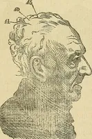 An illustration from Questioni filosofiche, sociali, mediche e medico-forensi : trattate coi principii della fisiologia del cervello / pel Dottore Biagio G. Miraglia. (1883)