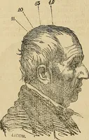 An illustration from Questioni filosofiche, sociali, mediche e medico-forensi : trattate coi principii della fisiologia del cervello / pel Dottore Biagio G. Miraglia. (1883)