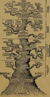 An illustration from The origin of life and process of reproduction in plants and animals : with the anatomy and physiology of the human generative system, male and female, and the causes, prevention and cure of the special diseases to which it is liable : a plain, practical treatise, for popular use / by Dr. F. Hollick ; illustrated by engravings and colored plates. (1902)