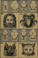 An illustration from The origin of life and process of reproduction in plants and animals : with the anatomy and physiology of the human generative system, male and female, and the causes, prevention and cure of the special diseases to which it is liable : a plain, practical treatise, for popular use / by Dr. F. Hollick ; illustrated by engravings and colored plates. (1902)