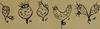 An illustration from The origin of life and process of reproduction in plants and animals : with the anatomy and physiology of the human generative system, male and female, and the causes, prevention and cure of the special diseases to which it is liable : a plain, practical treatise, for popular use / by Dr. F. Hollick ; illustrated by engravings and colored plates. (1902)