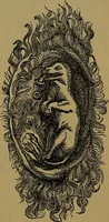An illustration from The origin of life and process of reproduction in plants and animals : with the anatomy and physiology of the human generative system, male and female, and the causes, prevention and cure of the special diseases to which it is liable : a plain, practical treatise, for popular use / by Dr. F. Hollick ; illustrated by engravings and colored plates. (1902)