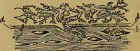 An illustration from The origin of life and process of reproduction in plants and animals : with the anatomy and physiology of the human generative system, male and female, and the causes, prevention and cure of the special diseases to which it is liable : a plain, practical treatise, for popular use / by Dr. F. Hollick ; illustrated by engravings and colored plates. (1902)