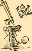 An illustration from The microscope : its history, construction, and application, being a familiar introduction to the use of the instrument, and the study of microscopial science / By Jabez Hogg ... with upwards of five hundred engravings and coloured illustrations by Tuffen West. (1867)
