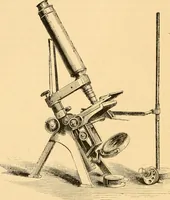 An illustration from The microscope : its history, construction, and application, being a familiar introduction to the use of the instrument, and the study of microscopial science / By Jabez Hogg ... with upwards of five hundred engravings and coloured illustrations by Tuffen West. (1867)