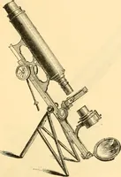 An illustration from The microscope : its history, construction, and application, being a familiar introduction to the use of the instrument, and the study of microscopial science / By Jabez Hogg ... with upwards of five hundred engravings and coloured illustrations by Tuffen West. (1867)