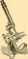 An illustration from The microscope : its history, construction, and application, being a familiar introduction to the use of the instrument, and the study of microscopial science / By Jabez Hogg ... with upwards of five hundred engravings and coloured illustrations by Tuffen West. (1867)