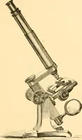 An illustration from The microscope : its history, construction, and application, being a familiar introduction to the use of the instrument, and the study of microscopial science / By Jabez Hogg ... with upwards of five hundred engravings and coloured illustrations by Tuffen West. (1867)