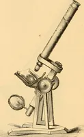 An illustration from The microscope : its history, construction, and application, being a familiar introduction to the use of the instrument, and the study of microscopial science / By Jabez Hogg ... with upwards of five hundred engravings and coloured illustrations by Tuffen West. (1867)