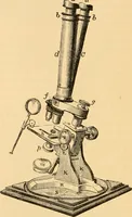 An illustration from The microscope : its history, construction, and application, being a familiar introduction to the use of the instrument, and the study of microscopial science / By Jabez Hogg ... with upwards of five hundred engravings and coloured illustrations by Tuffen West. (1867)