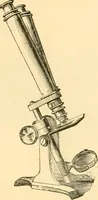 An illustration from The microscope : its history, construction, and application, being a familiar introduction to the use of the instrument, and the study of microscopial science / By Jabez Hogg ... with upwards of five hundred engravings and coloured illustrations by Tuffen West. (1867)