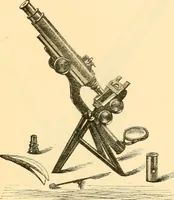 An illustration from The microscope : its history, construction, and application, being a familiar introduction to the use of the instrument, and the study of microscopial science / By Jabez Hogg ... with upwards of five hundred engravings and coloured illustrations by Tuffen West. (1867)