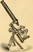 An illustration from The microscope : its history, construction, and application, being a familiar introduction to the use of the instrument, and the study of microscopial science / By Jabez Hogg ... with upwards of five hundred engravings and coloured illustrations by Tuffen West. (1867)