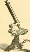 An illustration from The microscope : its history, construction, and application, being a familiar introduction to the use of the instrument, and the study of microscopial science / By Jabez Hogg ... with upwards of five hundred engravings and coloured illustrations by Tuffen West. (1867)