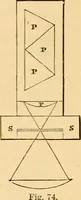 An illustration from The microscope : its history, construction, and application, being a familiar introduction to the use of the instrument, and the study of microscopial science / By Jabez Hogg ... with upwards of five hundred engravings and coloured illustrations by Tuffen West. (1867)