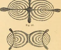 An illustration from The microscope : its history, construction, and application, being a familiar introduction to the use of the instrument, and the study of microscopial science / By Jabez Hogg ... with upwards of five hundred engravings and coloured illustrations by Tuffen West. (1867)