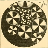 An illustration from The microscope : its history, construction, and application, being a familiar introduction to the use of the instrument, and the study of microscopial science / By Jabez Hogg ... with upwards of five hundred engravings and coloured illustrations by Tuffen West. (1867)