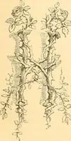 An illustration from The microscope : its history, construction, and application, being a familiar introduction to the use of the instrument, and the study of microscopial science / By Jabez Hogg ... with upwards of five hundred engravings and coloured illustrations by Tuffen West. (1867)