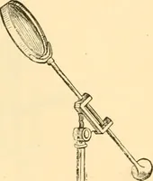 An illustration from The microscope : its history, construction, and application, being a familiar introduction to the use of the instrument, and the study of microscopial science / By Jabez Hogg ... with upwards of five hundred engravings and coloured illustrations by Tuffen West. (1867)