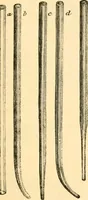 An illustration from The microscope : its history, construction, and application, being a familiar introduction to the use of the instrument, and the study of microscopial science / By Jabez Hogg ... with upwards of five hundred engravings and coloured illustrations by Tuffen West. (1867)
