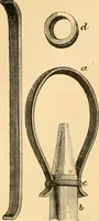An illustration from The microscope : its history, construction, and application, being a familiar introduction to the use of the instrument, and the study of microscopial science / By Jabez Hogg ... with upwards of five hundred engravings and coloured illustrations by Tuffen West. (1867)