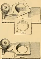 An illustration from The microscope : its history, construction, and application, being a familiar introduction to the use of the instrument, and the study of microscopial science / By Jabez Hogg ... with upwards of five hundred engravings and coloured illustrations by Tuffen West. (1867)