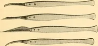 An illustration from The microscope : its history, construction, and application, being a familiar introduction to the use of the instrument, and the study of microscopial science / By Jabez Hogg ... with upwards of five hundred engravings and coloured illustrations by Tuffen West. (1867)