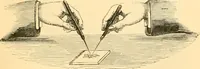 An illustration from The microscope : its history, construction, and application, being a familiar introduction to the use of the instrument, and the study of microscopial science / By Jabez Hogg ... with upwards of five hundred engravings and coloured illustrations by Tuffen West. (1867)