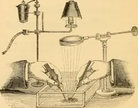 An illustration from The microscope : its history, construction, and application, being a familiar introduction to the use of the instrument, and the study of microscopial science / By Jabez Hogg ... with upwards of five hundred engravings and coloured illustrations by Tuffen West. (1867)