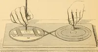An illustration from The microscope : its history, construction, and application, being a familiar introduction to the use of the instrument, and the study of microscopial science / By Jabez Hogg ... with upwards of five hundred engravings and coloured illustrations by Tuffen West. (1867)