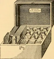 An illustration from The microscope : its history, construction, and application, being a familiar introduction to the use of the instrument, and the study of microscopial science / By Jabez Hogg ... with upwards of five hundred engravings and coloured illustrations by Tuffen West. (1867)