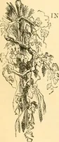 An illustration from The microscope : its history, construction, and application, being a familiar introduction to the use of the instrument, and the study of microscopial science / By Jabez Hogg ... with upwards of five hundred engravings and coloured illustrations by Tuffen West. (1867)