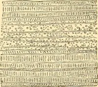 An illustration from The microscope : its history, construction, and application, being a familiar introduction to the use of the instrument, and the study of microscopial science / By Jabez Hogg ... with upwards of five hundred engravings and coloured illustrations by Tuffen West. (1867)