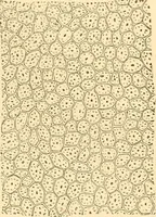 An illustration from The microscope : its history, construction, and application, being a familiar introduction to the use of the instrument, and the study of microscopial science / By Jabez Hogg ... with upwards of five hundred engravings and coloured illustrations by Tuffen West. (1867)