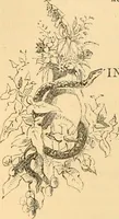 An illustration from The microscope : its history, construction, and application, being a familiar introduction to the use of the instrument, and the study of microscopial science / By Jabez Hogg ... with upwards of five hundred engravings and coloured illustrations by Tuffen West. (1867)