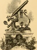 An illustration from The microscope : its history, construction, and application, being a familiar introduction to the use of the instrument, and the study of microscopial science / By Jabez Hogg ... with upwards of five hundred engravings and coloured illustrations by Tuffen West. (1867)