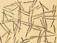 An illustration from The microscope : its history, construction, and application, being a familiar introduction to the use of the instrument, and the study of microscopial science / By Jabez Hogg ... with upwards of five hundred engravings and coloured illustrations by Tuffen West. (1867)