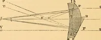 An illustration from The microscope : its history, construction, and application, being a familiar introduction to the use of the instrument, and the study of microscopial science / By Jabez Hogg ... with upwards of five hundred engravings and coloured illustrations by Tuffen West. (1867)