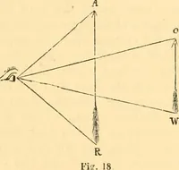 An illustration from The microscope : its history, construction, and application, being a familiar introduction to the use of the instrument, and the study of microscopial science / By Jabez Hogg ... with upwards of five hundred engravings and coloured illustrations by Tuffen West. (1867)