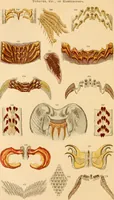 An illustration from The microscope : its history, construction, and application, being a familiar introduction to the use of the instrument, and the study of microscopial science / By Jabez Hogg ... with upwards of five hundred engravings and coloured illustrations by Tuffen West. (1867)
