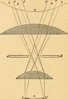 An illustration from The microscope : its history, construction, and application, being a familiar introduction to the use of the instrument, and the study of microscopial science / By Jabez Hogg ... with upwards of five hundred engravings and coloured illustrations by Tuffen West. (1867)